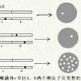 互補測定 互補測定