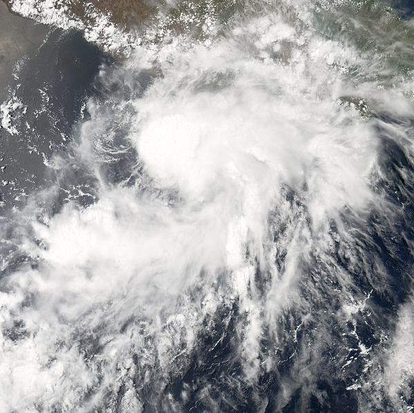 熱帶風暴阿萊塔 衛星雲圖
