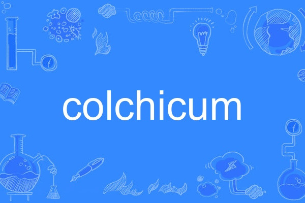 colchicum colchicum