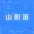 山陽笛 山陽笛