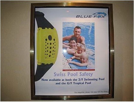 藍狐泳池安全系統
