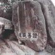梅岑 梅岑