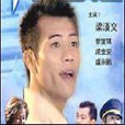 午夜出租(田雋導演的電視劇) 午夜出租(田雋導演的電視劇)