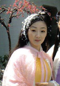 秦淮悲歌(2004年伊能靜主演電視劇)