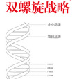 博誠智揚 博誠智揚