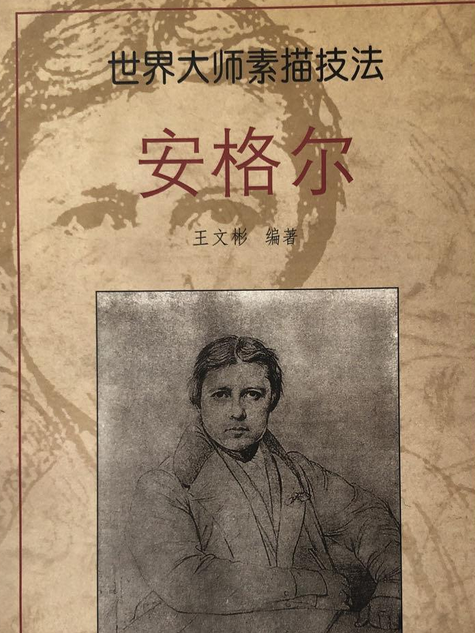 安格爾(1999年中國文聯出版社出版的圖書) 安格爾(1999年中國文聯出版社出版的圖書)