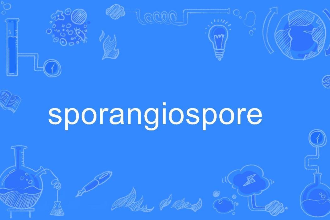 sporangiospore sporangiospore