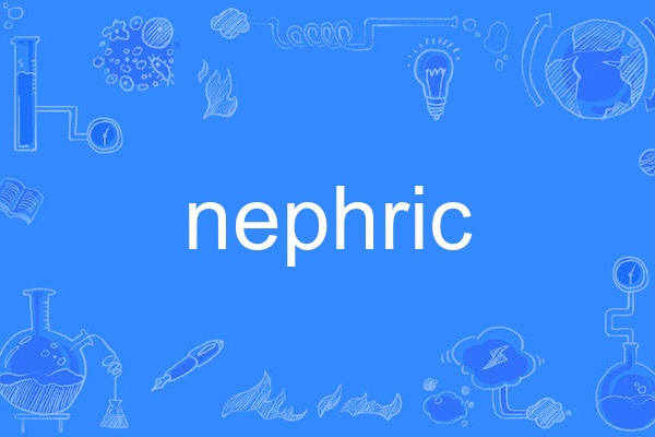 nephric nephric