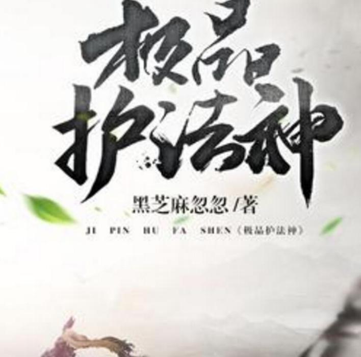 極品護法神 極品護法神