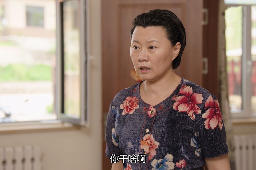趙金鳳(《鄉村愛情》人物) 趙金鳳(《鄉村愛情》人物)