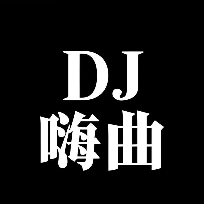 DJ嗨曲 DJ嗨曲