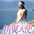 折翼天使(暗夜文學網小說)