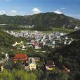 崩麥村 崩麥村