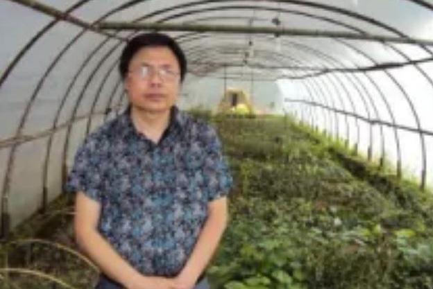 曹輝華 曹輝華