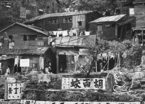 被香港政府接納的逃港者所住的棚戶區