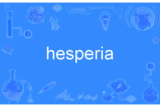 hesperia hesperia