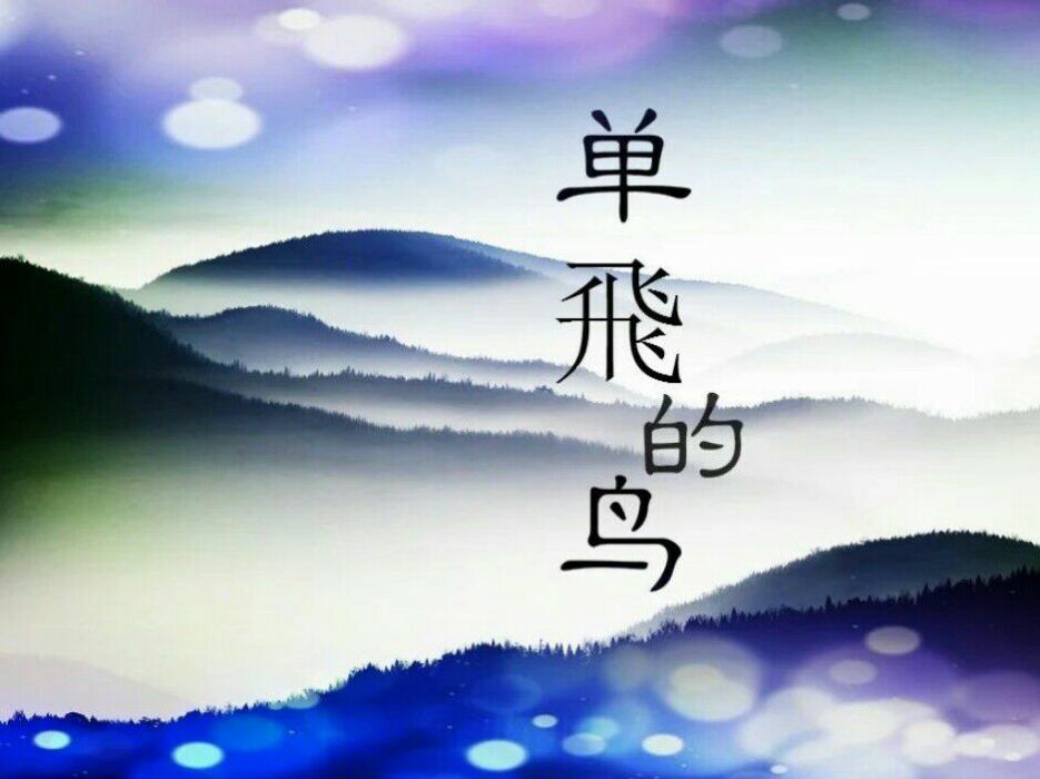 單飛的鳥 單飛的鳥