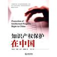 智慧財產權保護在中國