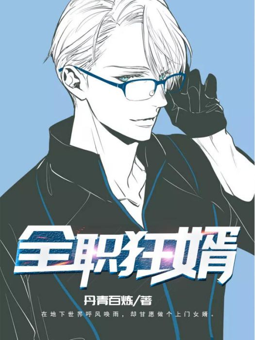 全職狂婿 全職狂婿