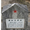 林如木