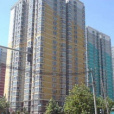 苗圃東里 苗圃東里