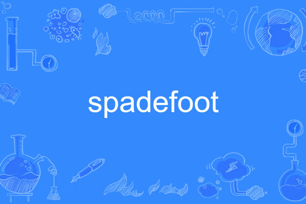 spadefoot spadefoot