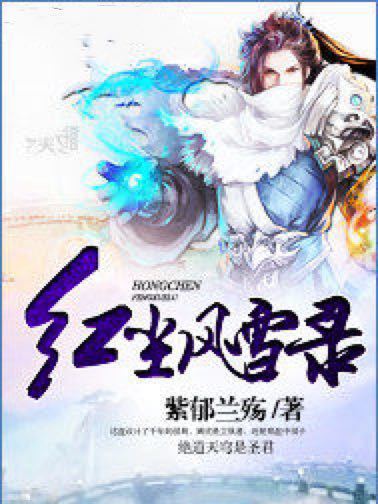 紅塵風雪錄 紅塵風雪錄
