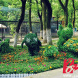 和平公園(湖南省湘潭市雨湖區和平公園) 和平公園(湖南省湘潭市雨湖區和平公園)
