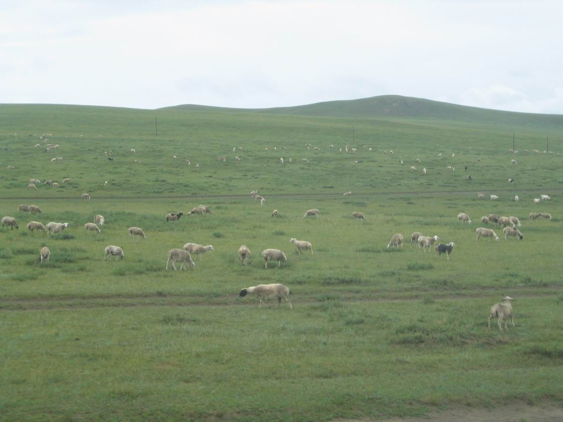 外蒙古