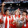 1985年歐洲冠軍杯決賽