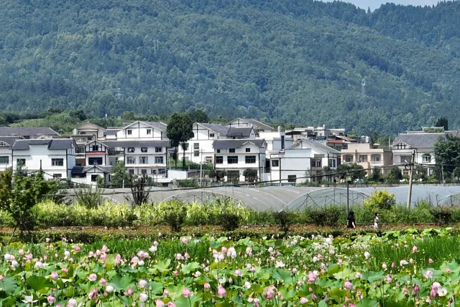 群立社區(貴州省畢節市金沙縣西洛街道下轄社區) 群立社區(貴州省畢節市金沙縣西洛街道下轄社區)