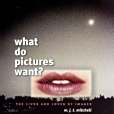 What Do Pictures Want?(2005年University Of Chicago Press出版的圖書) What Do Pictures Want?(2005年University Of Chicago Press出版的圖書)