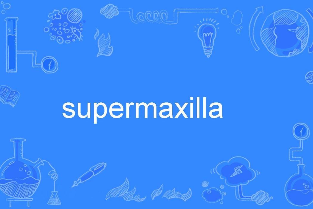 supermaxilla supermaxilla