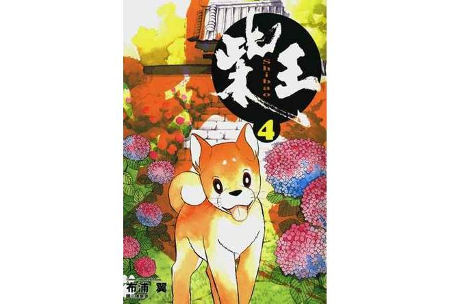 柴王(04) 柴王(04)