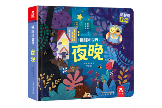 揭秘夜晚(書籍) 揭秘夜晚(書籍)