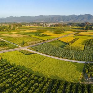 上甘棠景區 上甘棠景區