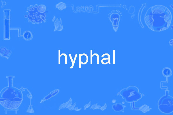 hyphal hyphal