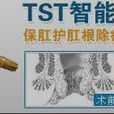 TST微創術 TST微創術