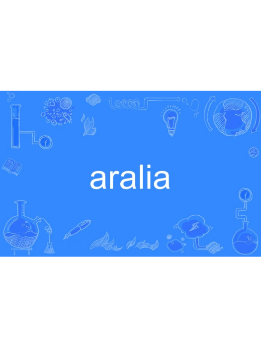 aralia aralia