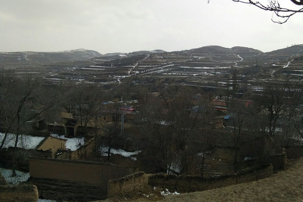 崔家垴村 崔家垴村