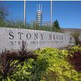 STONY BROOK STONY BROOK