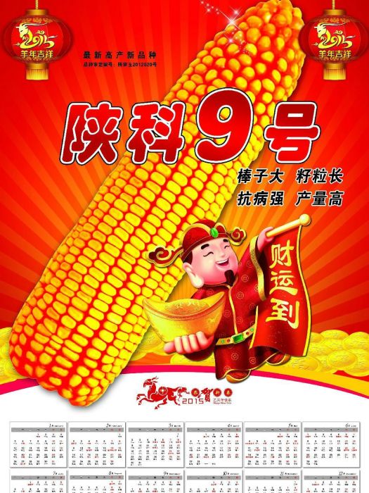 陝科9號 陝科9號