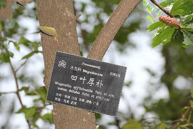 洪塘營86號 洪塘營86號