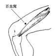 百蟲窩穴