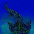 扁平魚目