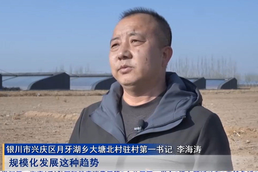李海濤(寧夏銀川市興慶區月牙湖鄉大塘北村駐村第一書記) 李海濤(寧夏銀川市興慶區月牙湖鄉大塘北村駐村第一書記)