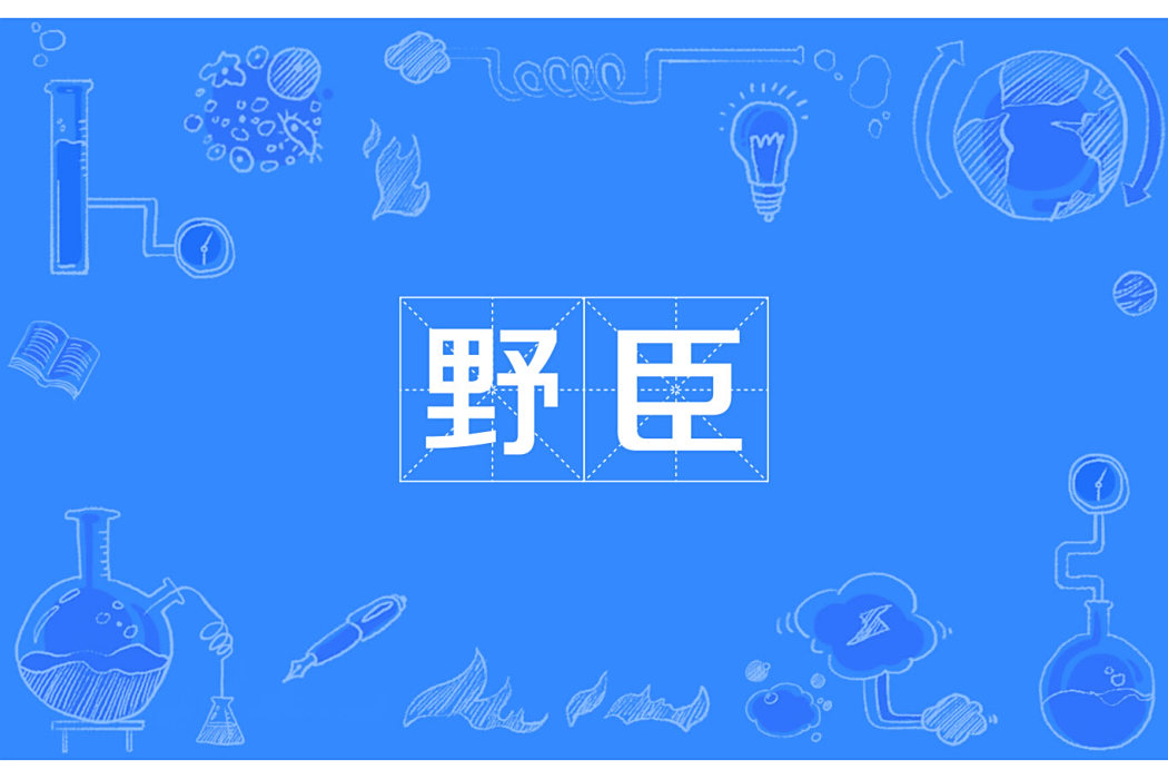 野臣