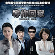 等你回家(宋佳、何建澤主演電視劇) 等你回家(宋佳、何建澤主演電視劇)