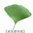 歡樂都市夜 歡樂都市夜