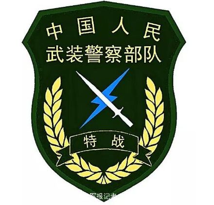 中國人民武裝警察部隊新式標誌服飾